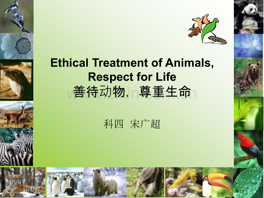 保护动物英语演讲省公共课一等奖全国赛课获奖课件.pptx_第1页