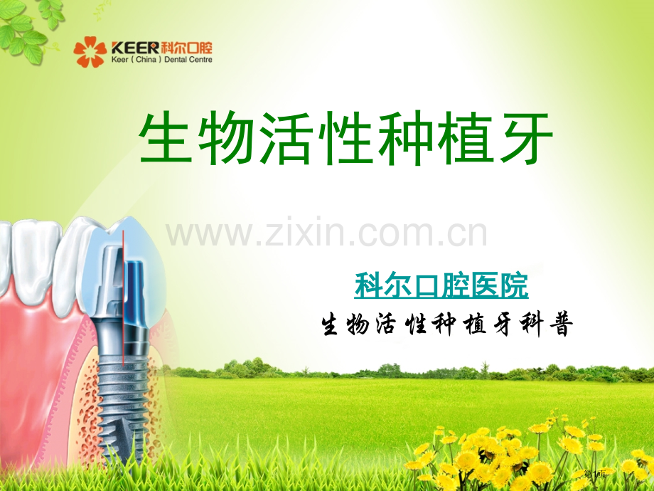 生物活性种植牙省公共课一等奖全国赛课获奖课件.pptx_第1页