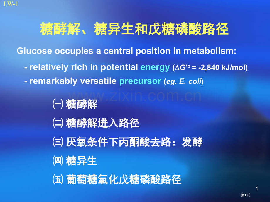 生物化学糖酵解糖异生和戊糖磷酸途径省公共课一等奖全国赛课获奖课件.pptx_第1页