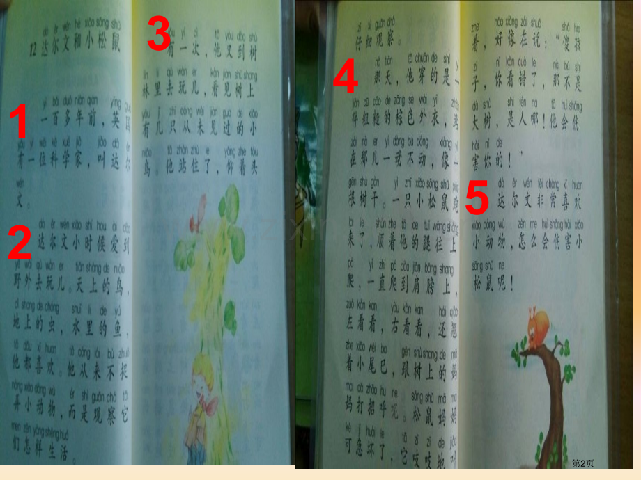 达尔文和小松鼠省公开课一等奖新名师优质课比赛一等奖课件.pptx_第2页