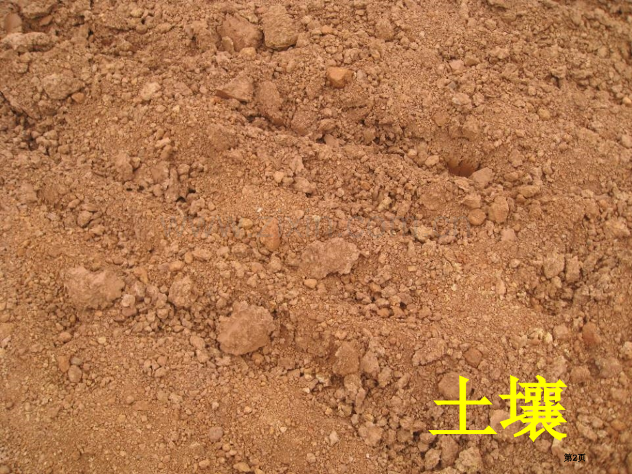土壤的保护植物生活的土地课件省公开课一等奖新名师优质课比赛一等奖课件.pptx_第2页