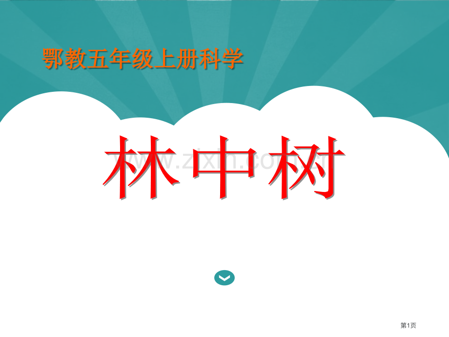 林中的树走进树林省公开课一等奖新名师优质课比赛一等奖课件.pptx_第1页