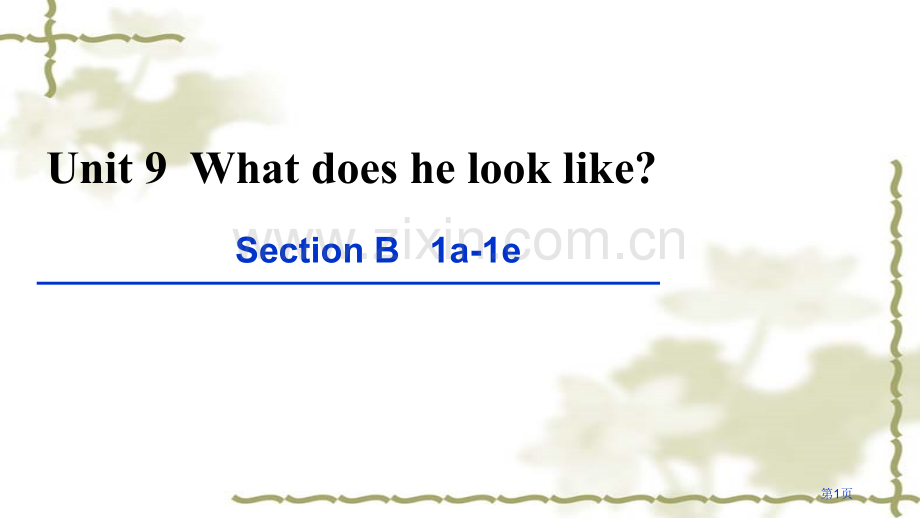 unit9Whatdoeshelooklike时Be省公共课一等奖全国赛课获奖课件.pptx_第1页
