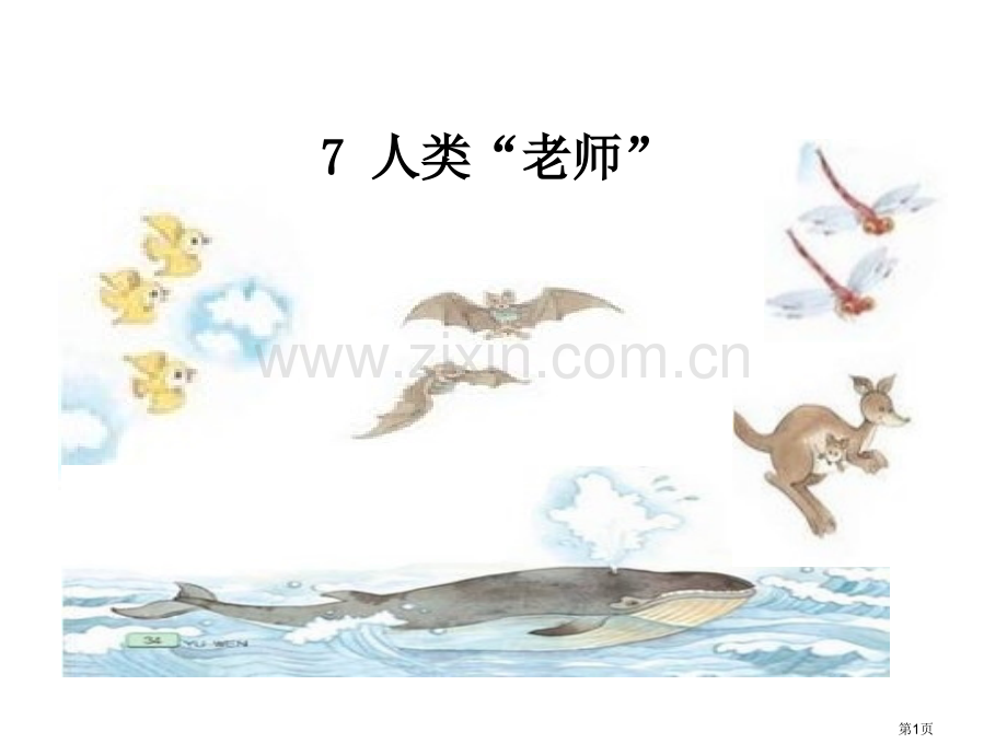 人类的老师.pptx_第1页