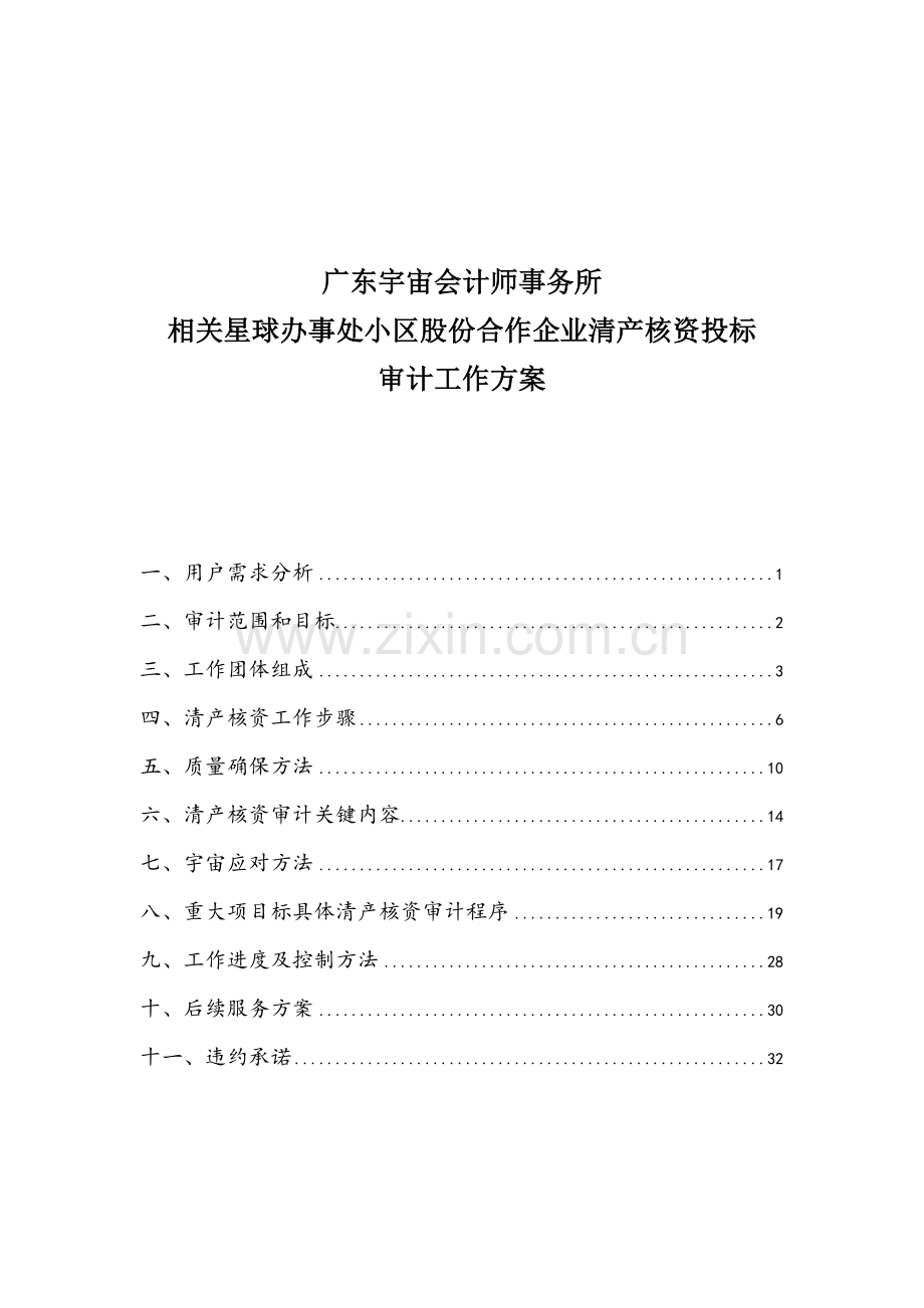 清产核资投标方案用审计工作专项方案.doc_第1页