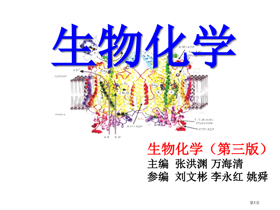 生物化学和新生物技术省公共课一等奖全国赛课获奖课件.pptx_第1页