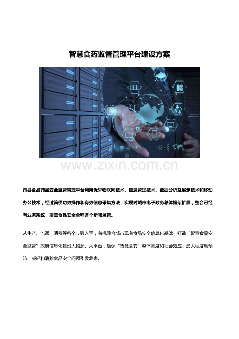 智慧食药监督管理平台建设专业方案.docx_第1页
