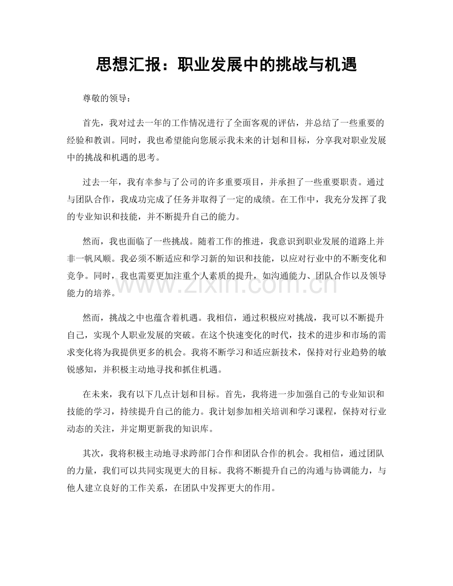 思想汇报：职业发展中的挑战与机遇.docx_第1页