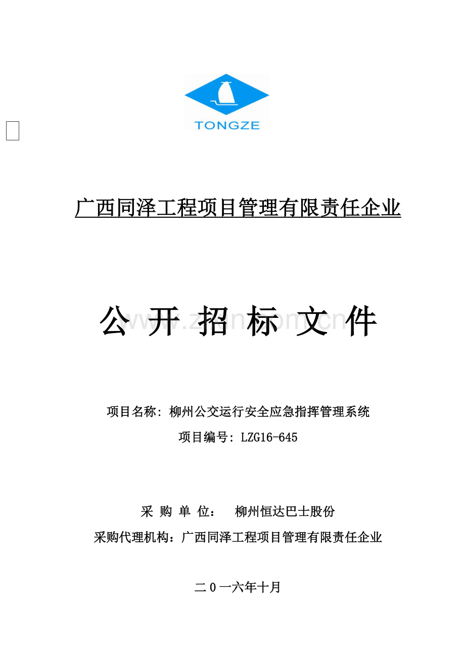 工程项目管理有限责任公司招标文件模板.doc_第1页
