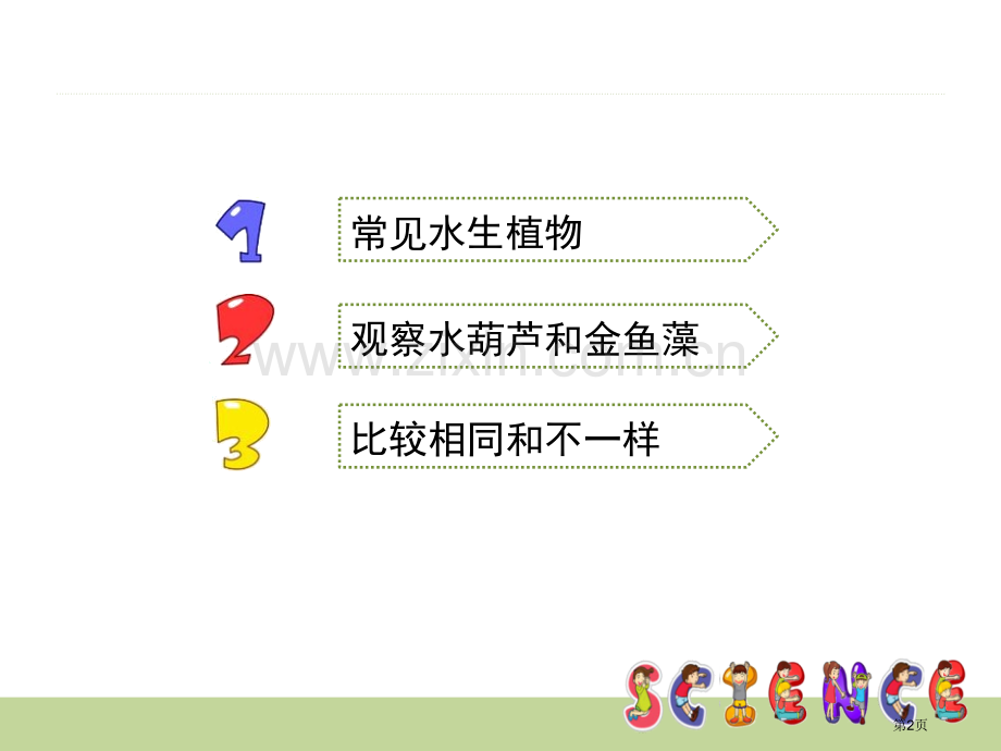 水生植物植物省公开课一等奖新名师比赛一等奖课件.pptx_第2页