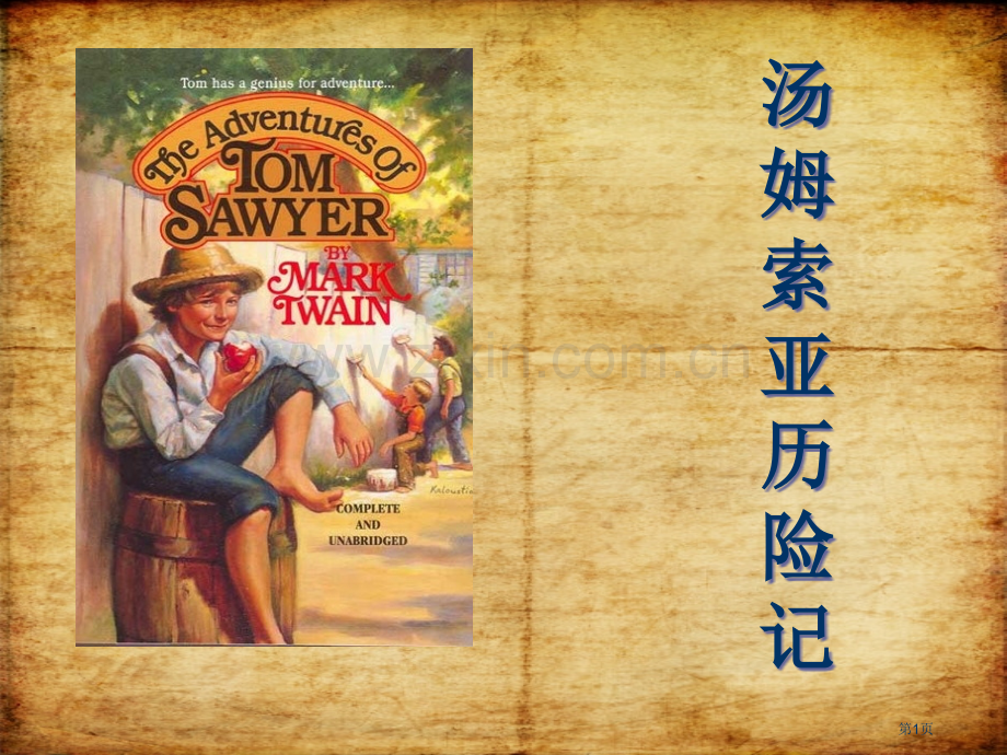 汤姆·索亚历险记省公开课一等奖新名师优质课比赛一等奖课件.pptx_第1页