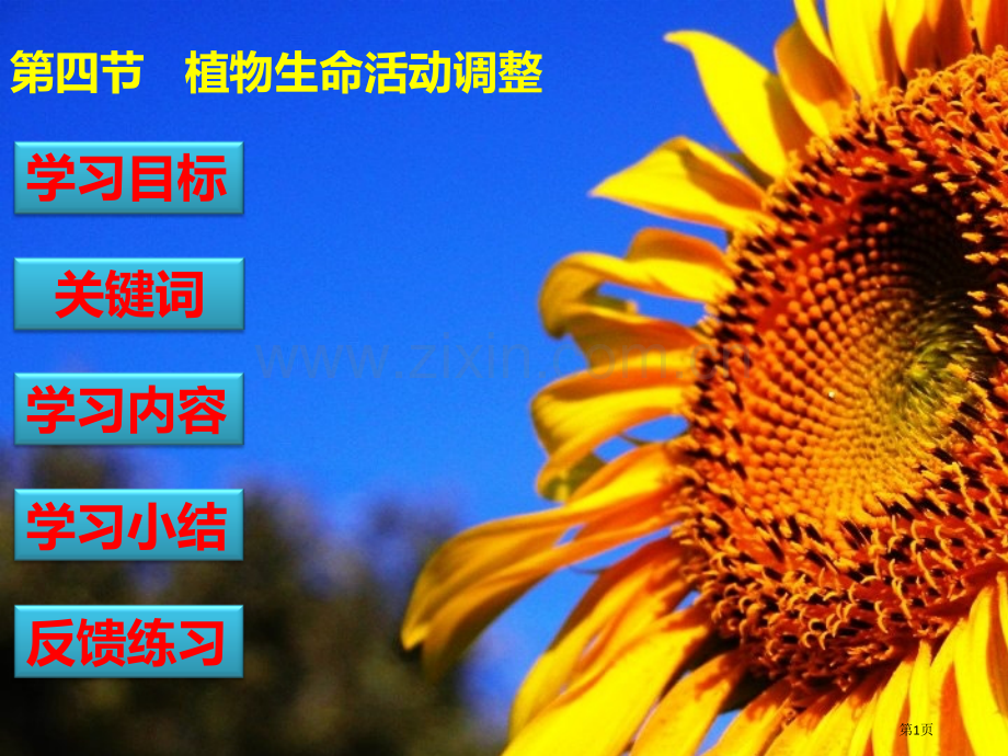 苏教版教学植物生命活动的调节苏教版省公共课一等奖全国赛课获奖课件.pptx_第1页