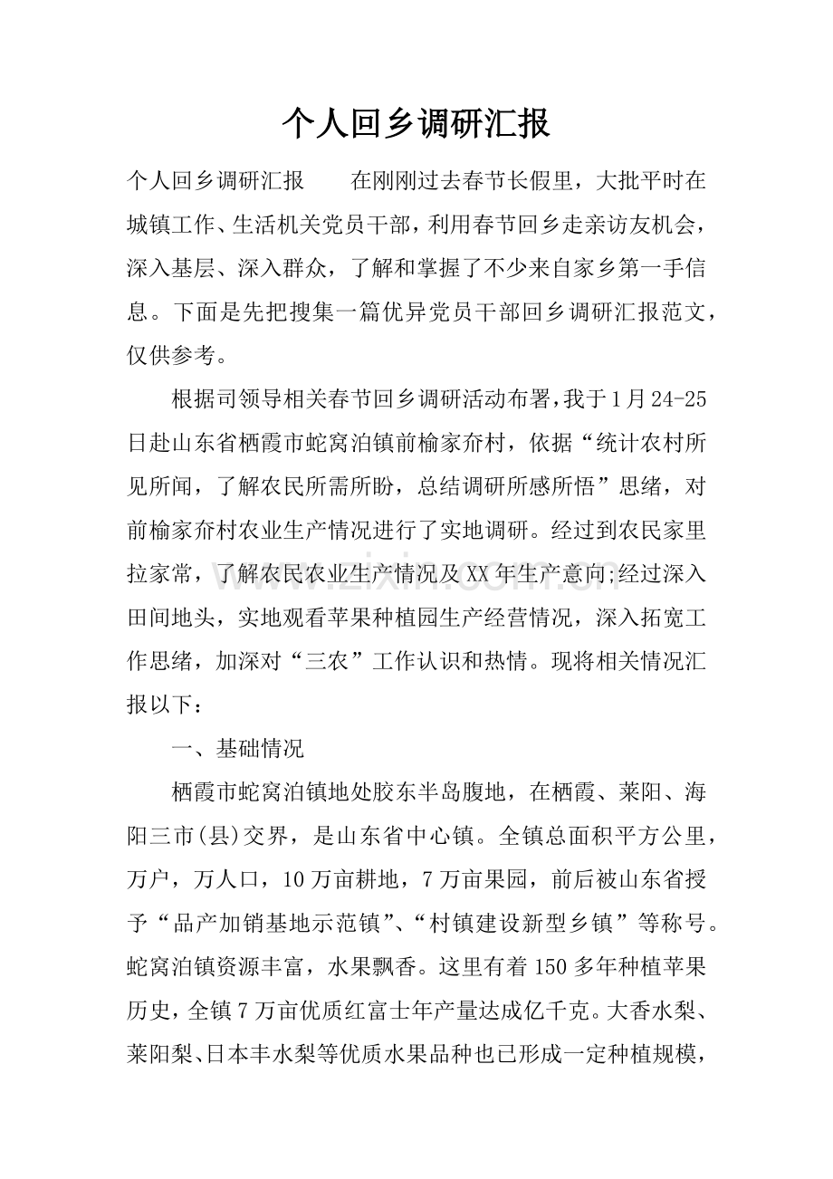 个人回乡调研研究报告.docx_第1页