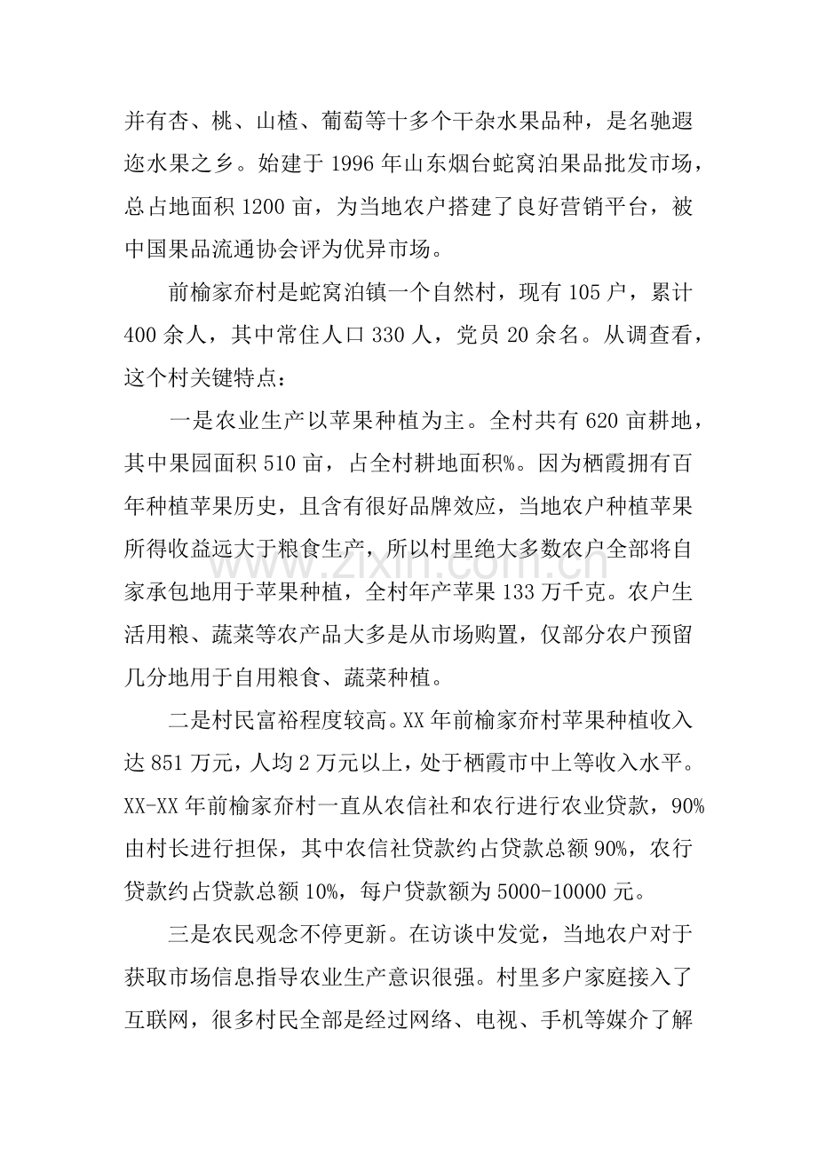 个人回乡调研研究报告.docx_第2页