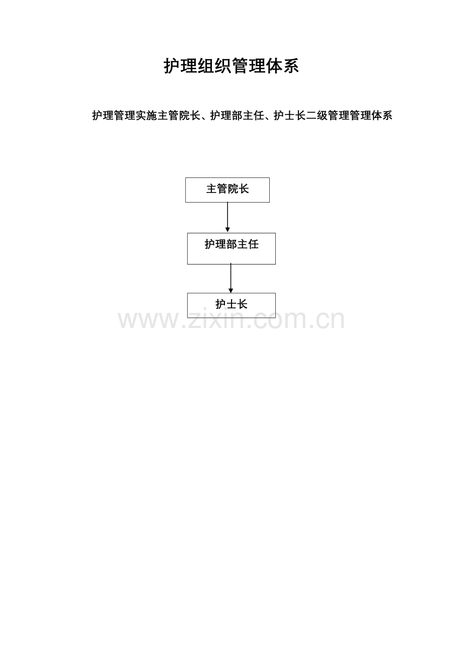 护理组织管理标准体系.doc_第1页