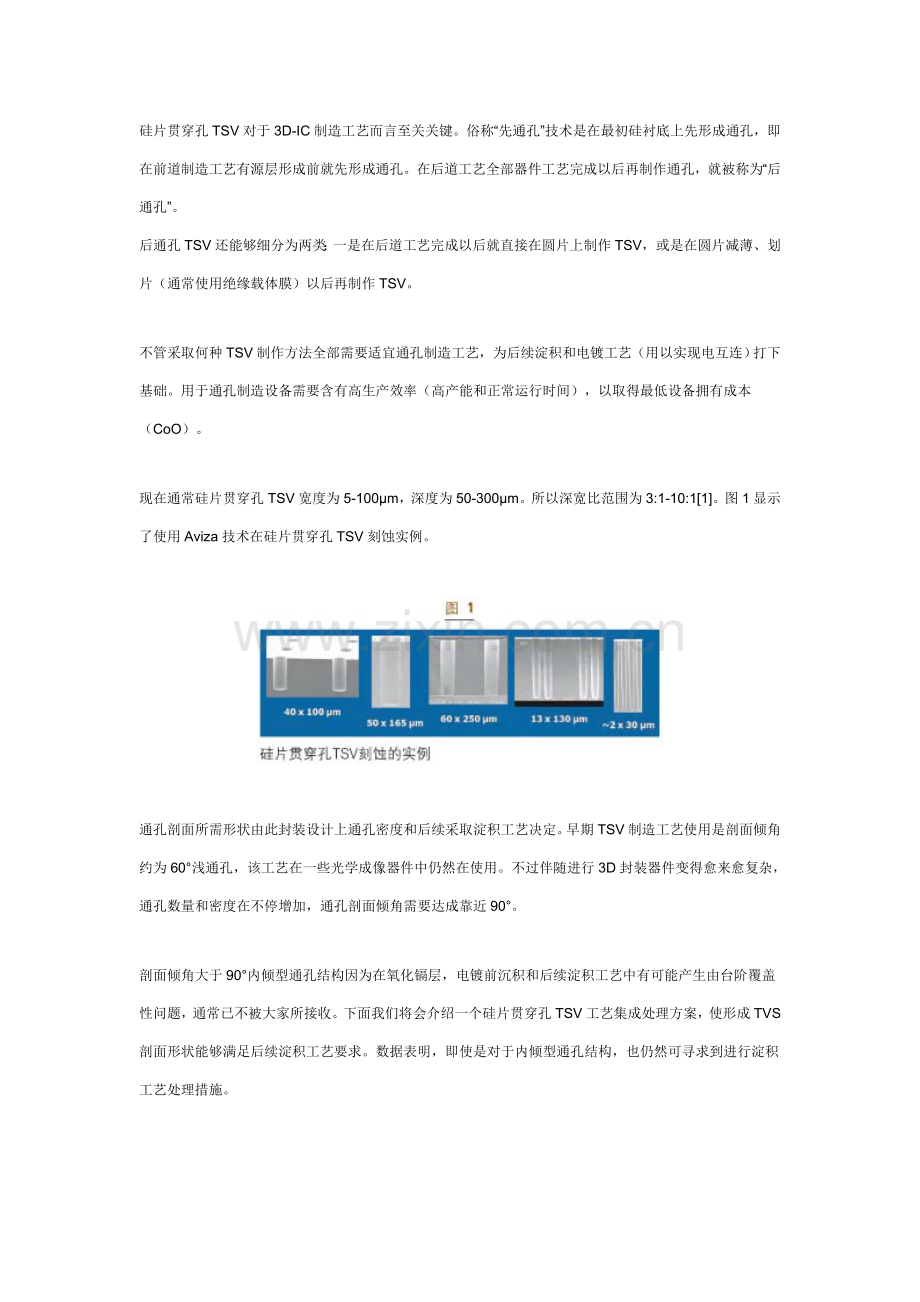 三D封装通孔集成工艺整装待发模板.doc_第2页