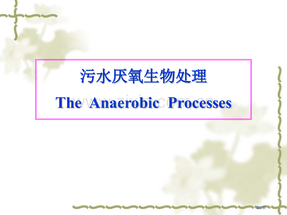 污水的厌氧生物处理市公开课一等奖百校联赛特等奖课件.pptx_第1页