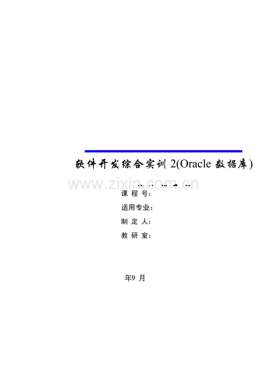 Oracle数据库实验指导手册模板.doc_第2页