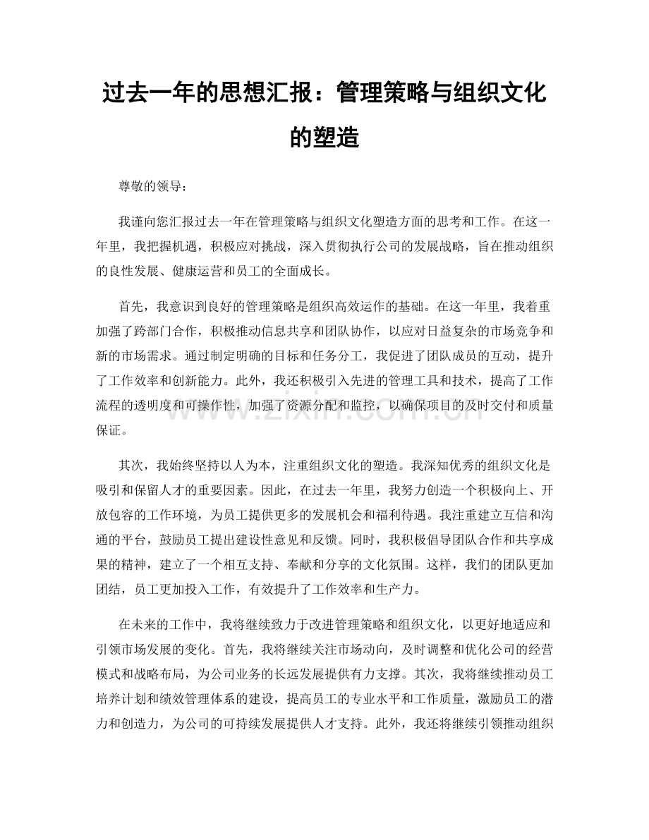 过去一年的思想汇报：管理策略与组织文化的塑造.docx_第1页