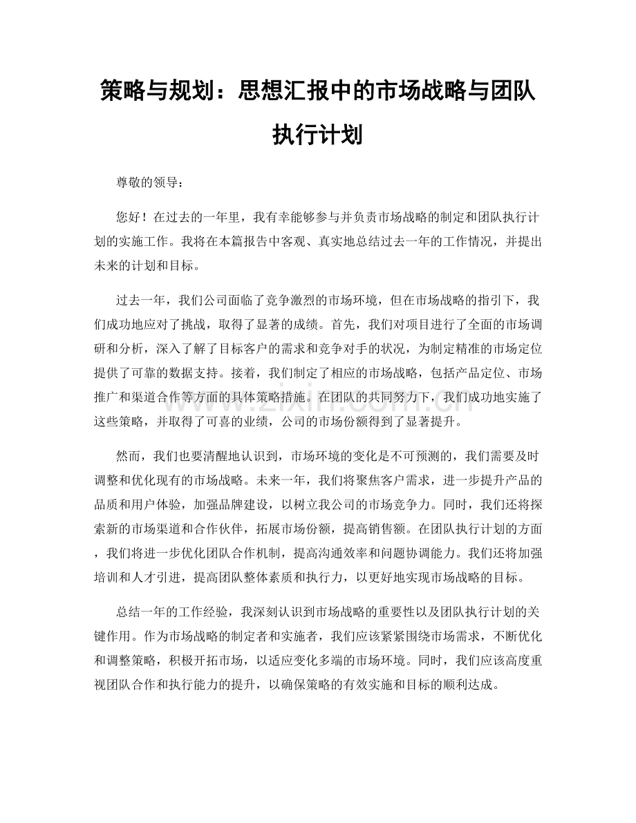 策略与规划：思想汇报中的市场战略与团队执行计划.docx_第1页