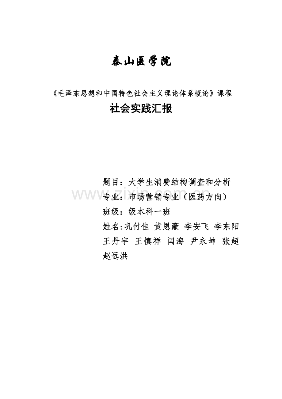 毛概社会实践调查分析报告.docx_第1页