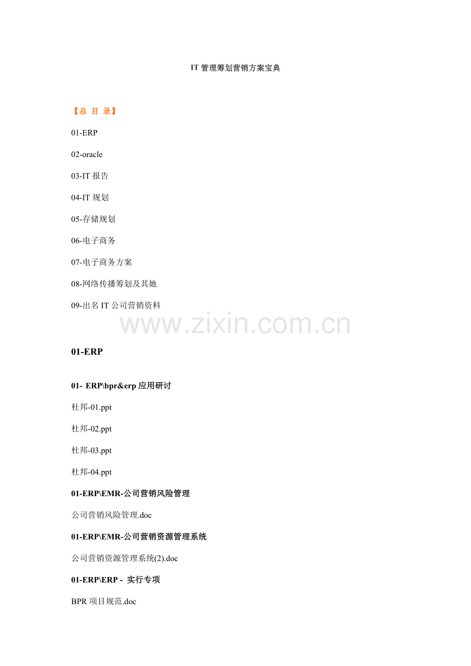 IT管理专题策划营销专题方案宝典.docx_第1页