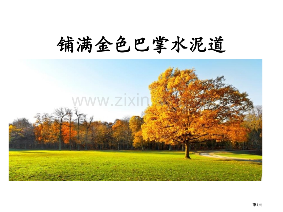 铺满金色巴掌的水泥道优质课件省公开课一等奖新名师优质课比赛一等奖课件.pptx_第1页