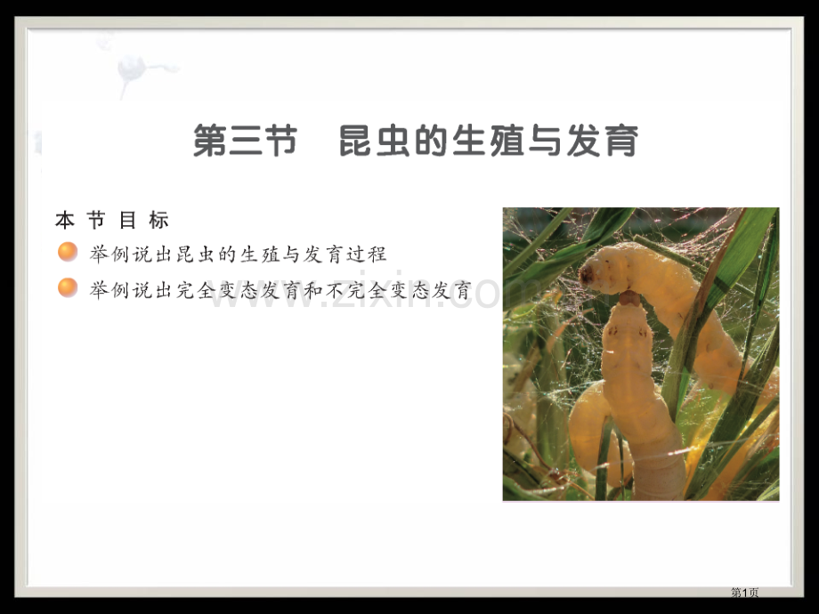 昆虫的生殖与发育省公开课一等奖新名师优质课比赛一等奖课件.pptx_第1页