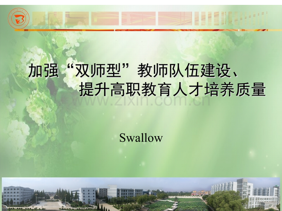 加强双师型教师队伍建设提升高职教育人才培养质量市公开课一等奖百校联赛特等奖课件.pptx_第1页