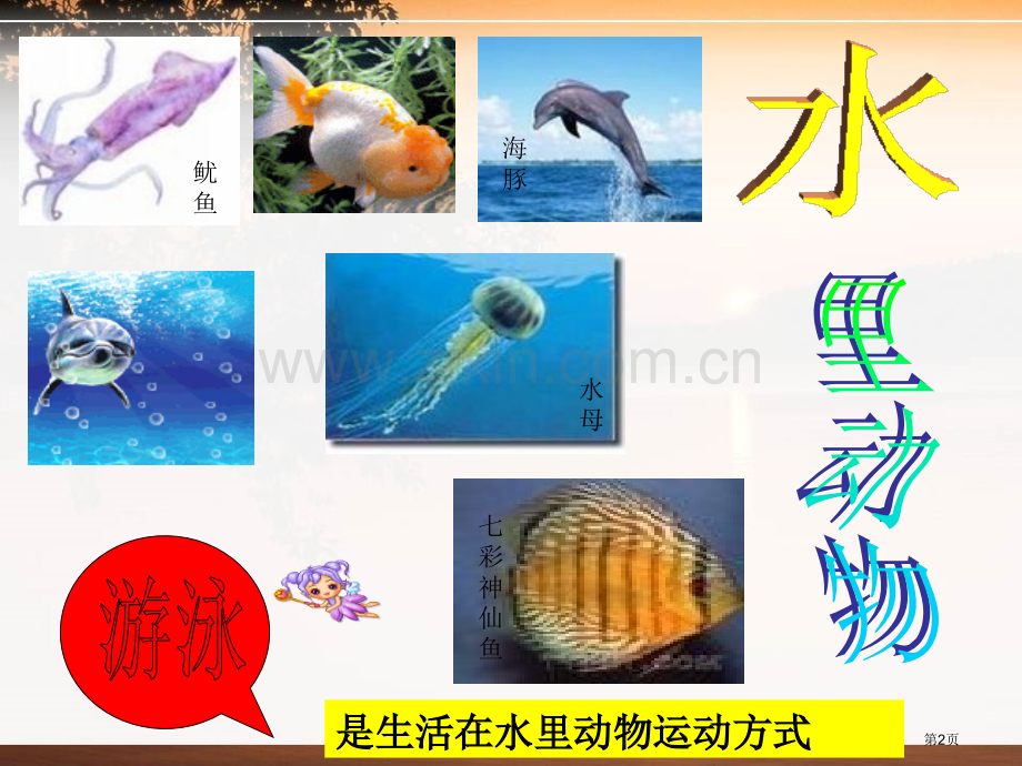 动物的身体和运动动物的生活课件省公开课一等奖新名师优质课比赛一等奖课件.pptx_第2页