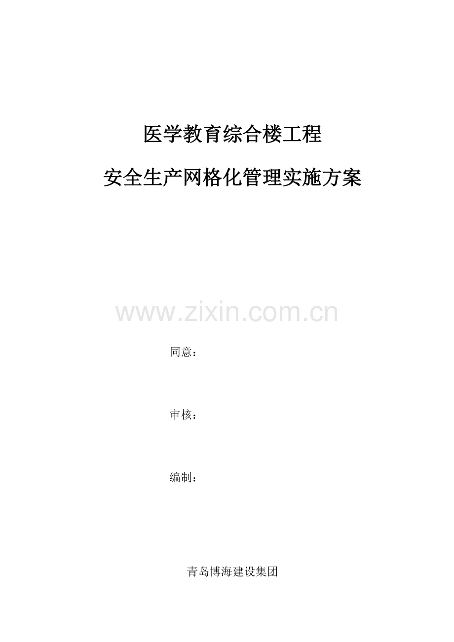 建筑工程综合项目工程安全生产网格化管理实施专项方案.docx_第1页