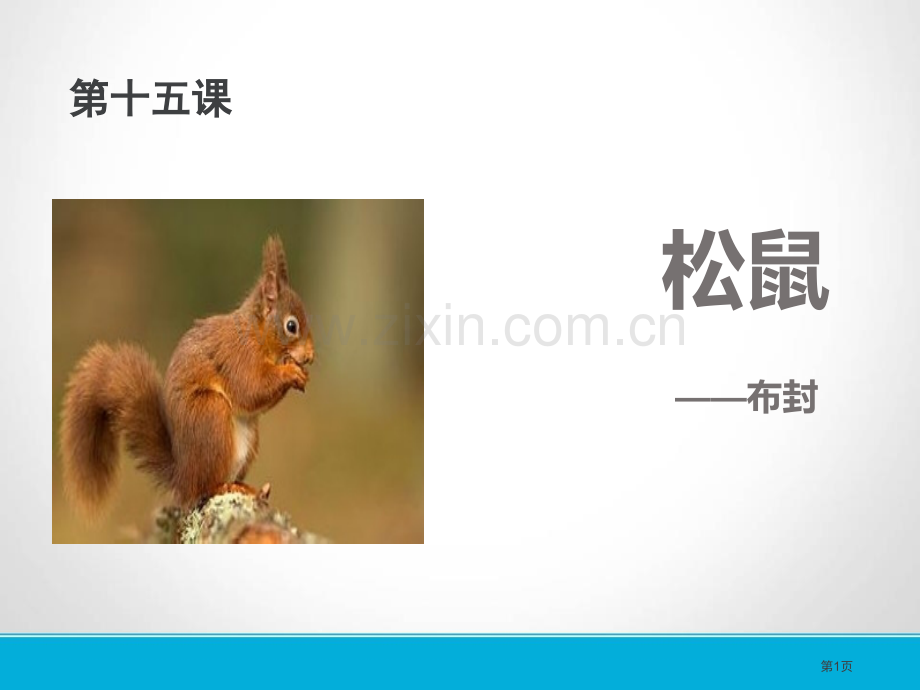 松鼠省公开课一等奖新名师优质课比赛一等奖课件.pptx_第1页