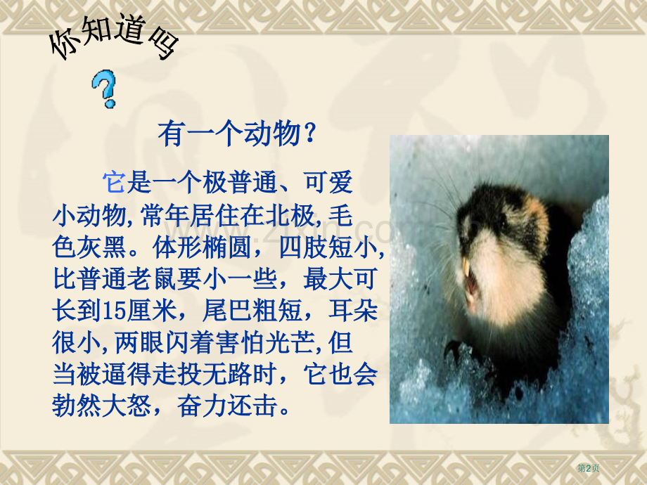 人教版八下旅鼠之谜省公共课一等奖全国赛课获奖课件.pptx_第2页