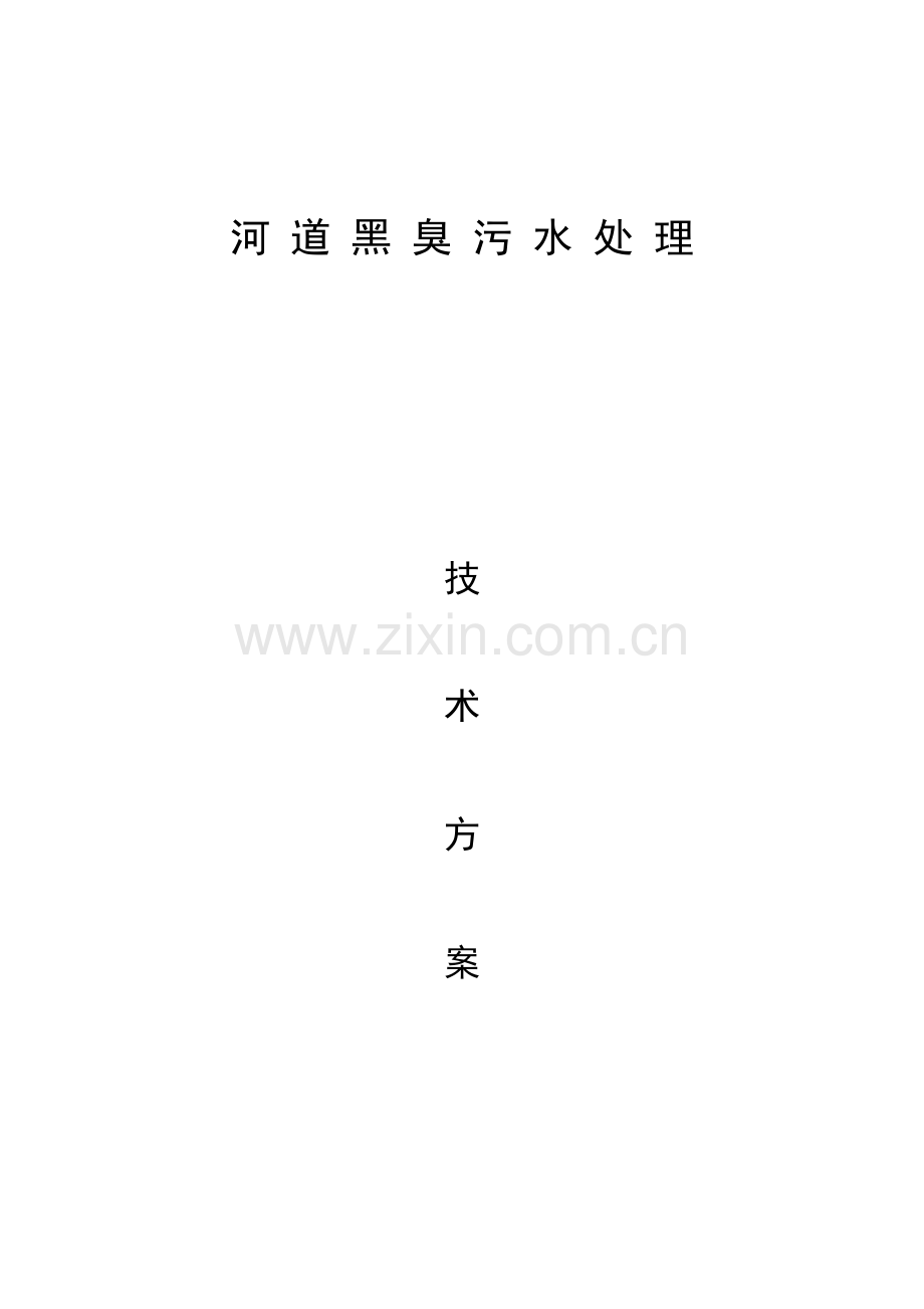 河道污水处理重点技术专题方案.docx_第1页