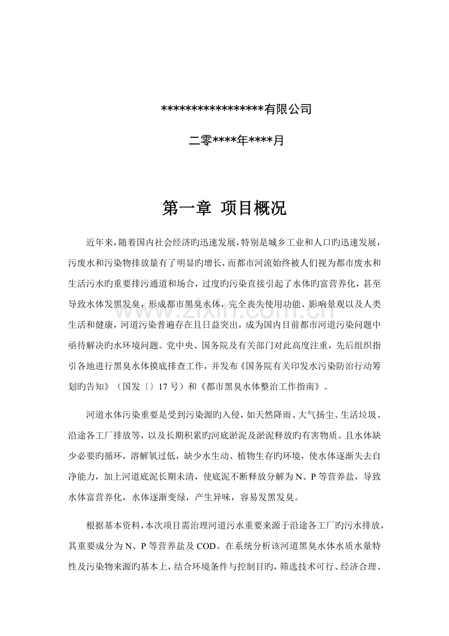 河道污水处理重点技术专题方案.docx_第2页