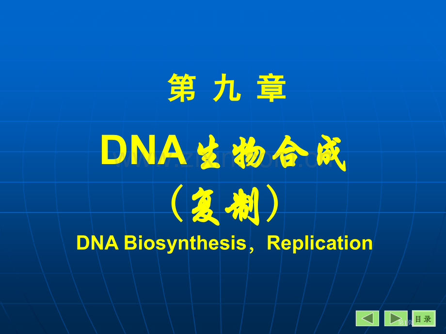 DNA的生物合成省公共课一等奖全国赛课获奖课件.pptx_第1页