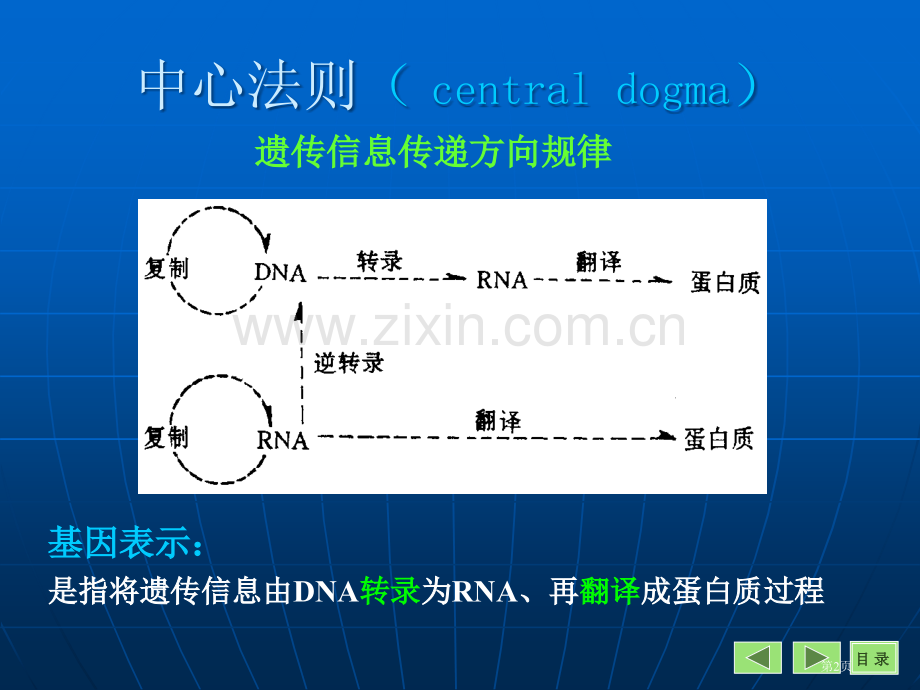 DNA的生物合成省公共课一等奖全国赛课获奖课件.pptx_第2页