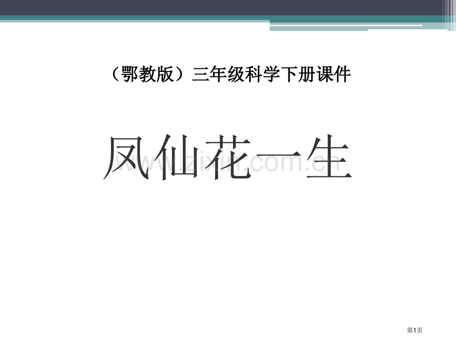 凤仙花的一生课件省公开课一等奖新名师优质课比赛一等奖课件.pptx_第1页