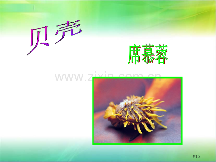 席慕容贝壳市公开课一等奖百校联赛获奖课件.pptx_第2页