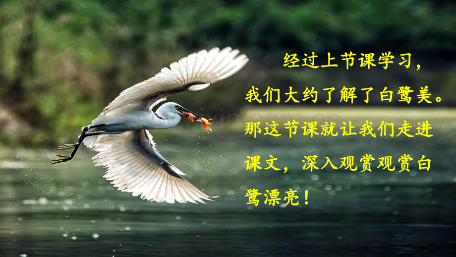 白鹭教学教案省公开课一等奖新名师比赛一等奖课件.pptx_第2页
