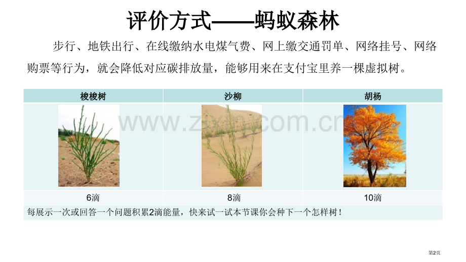 新疆维吾尔自治区教学课件省公开课一等奖新名师优质课比赛一等奖课件.pptx_第2页