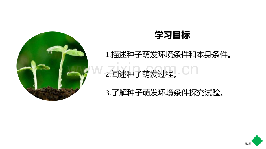 种子的萌发教学课件省公开课一等奖新名师优质课比赛一等奖课件.pptx_第2页