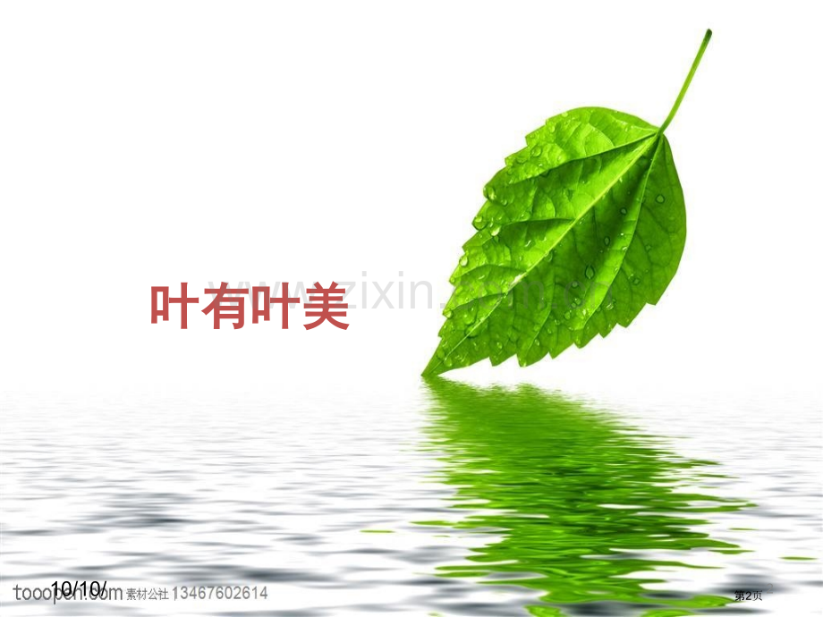 综合实践课叶子书签的制作市公开课一等奖百校联赛获奖课件.pptx_第2页
