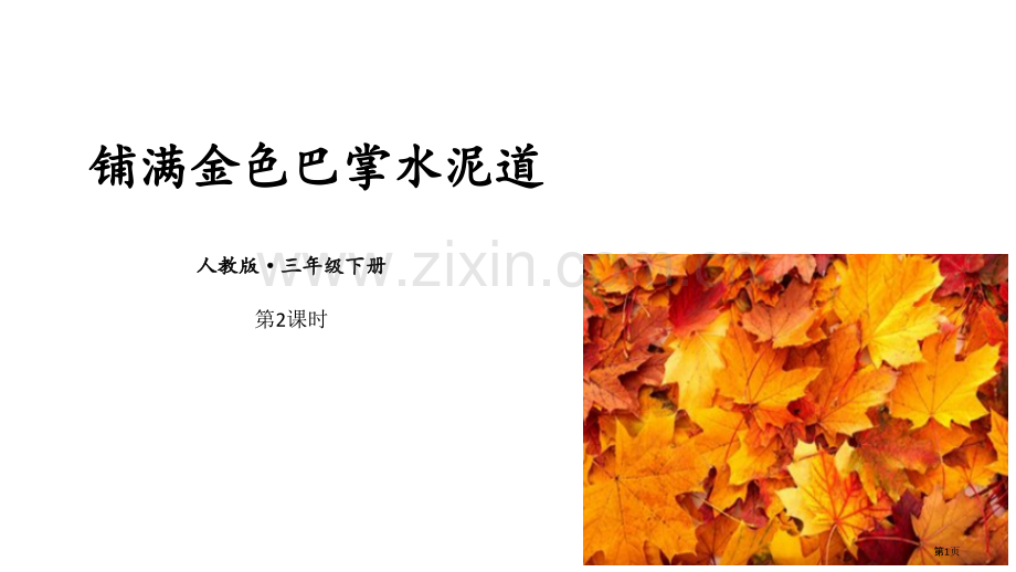 铺满金色巴掌的水泥道优质教案省公开课一等奖新名师比赛一等奖课件.pptx_第1页