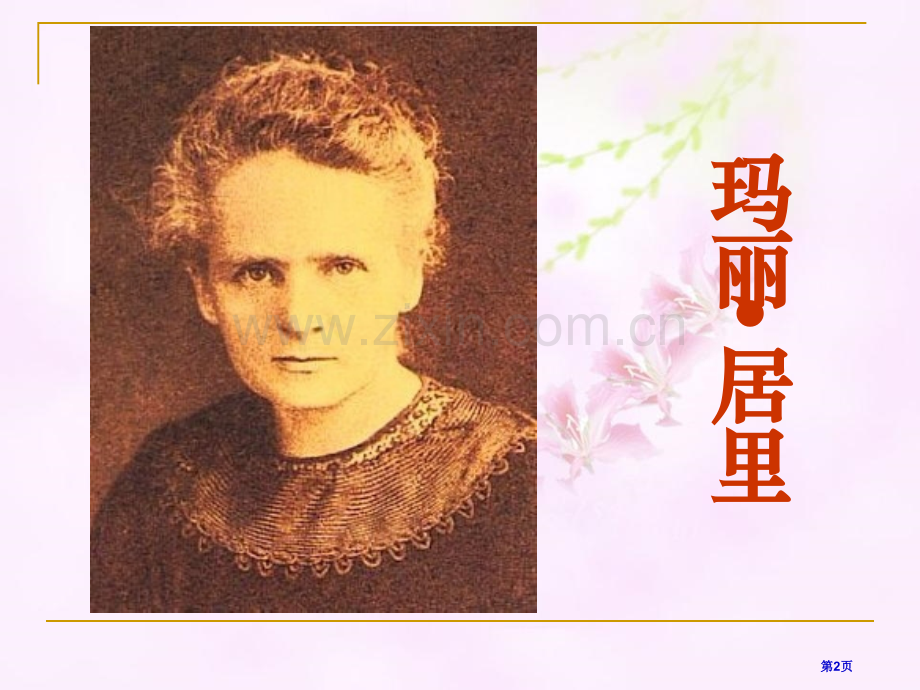跨越百年的美丽课件8省公开课一等奖新名师优质课比赛一等奖课件.pptx_第2页