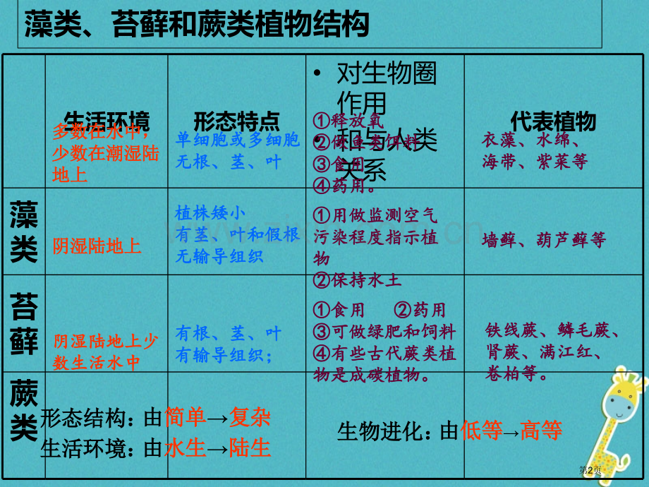 七年级生物上册3.5.1-2章复习市公开课一等奖百校联赛特等奖大赛微课金奖PPT课件.pptx_第2页