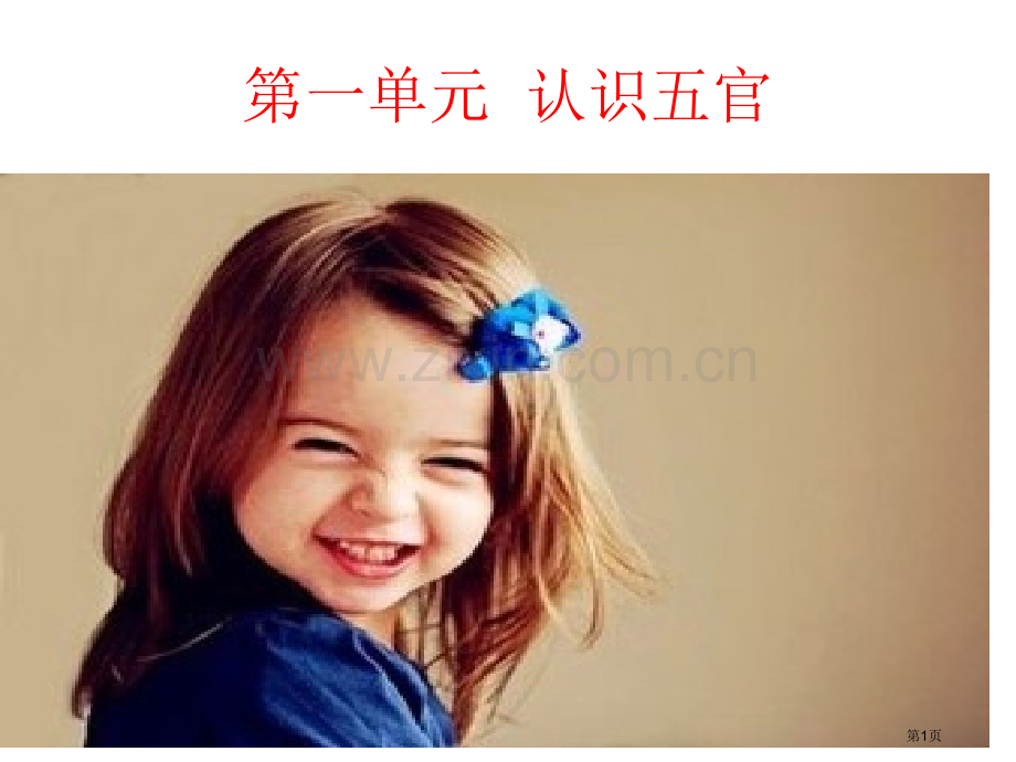 特教学校培智眼睛省公共课一等奖全国赛课获奖课件.pptx_第1页