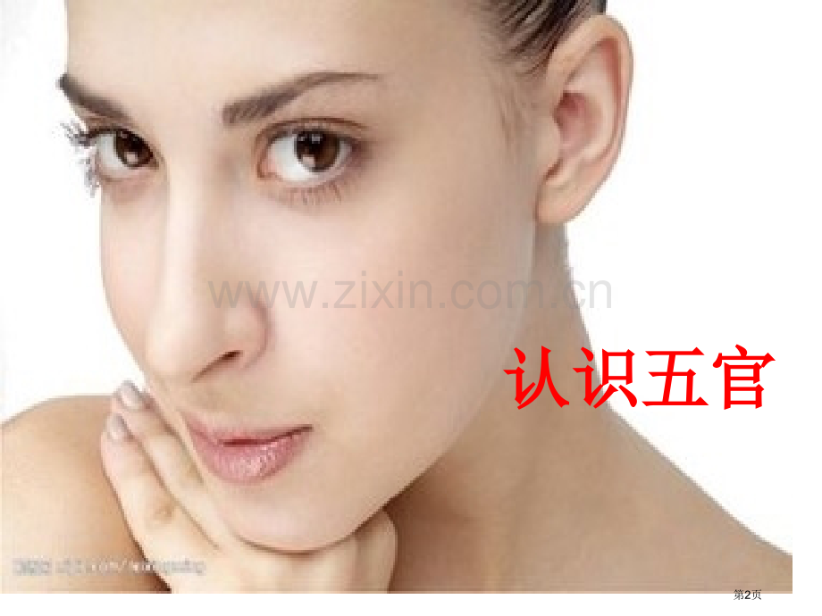 特教学校培智眼睛省公共课一等奖全国赛课获奖课件.pptx_第2页