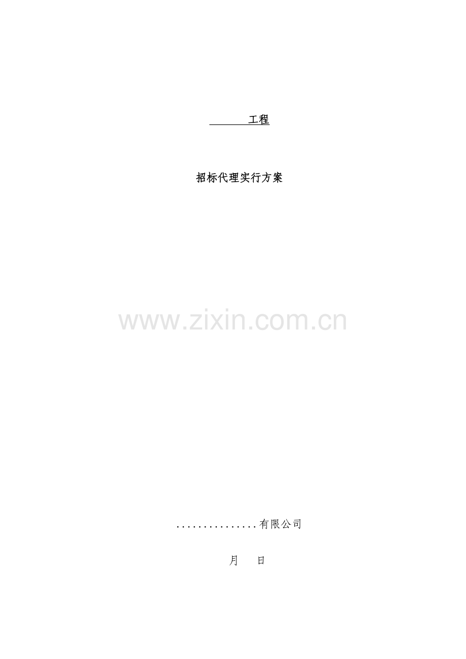 新版关键工程全新招标代理专题方案.docx_第1页