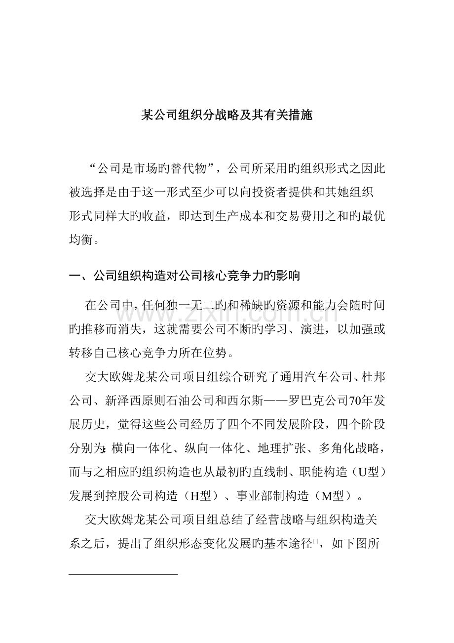 公司组织战略及综合措施管理专题方案.docx_第1页